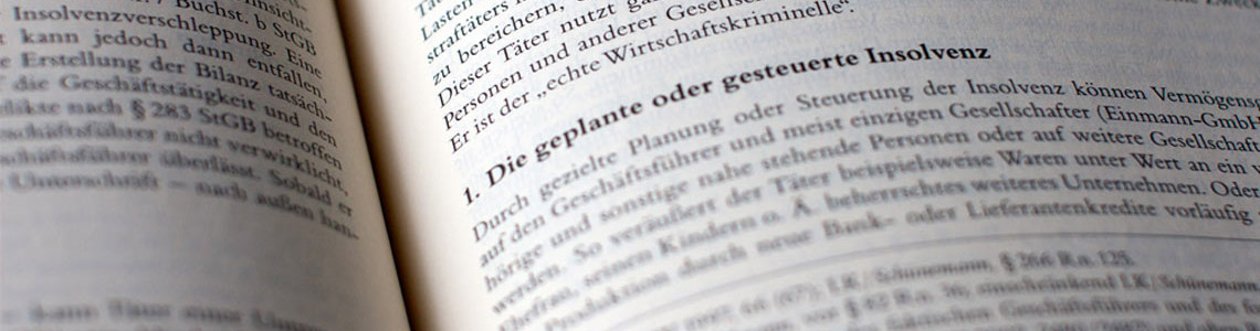 Sanierungs- und Insolvenzberatung